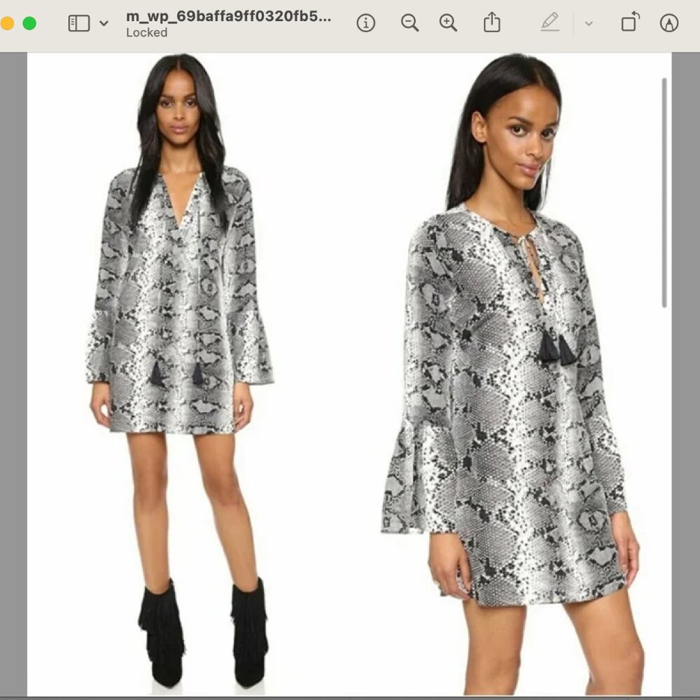 Elizabeth and James Snakeskin Silk Dress, Size XS